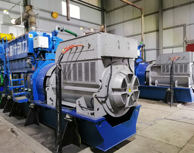 丰都甘泰沼气发电项目配ballbet贝博2台850KW/10.5KV6极高压发电机