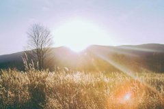 挑选设计新颖、工艺精湛