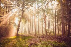 触动其内心深处的情感共