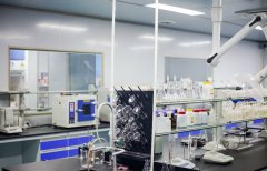 全程协助完成FDA认证