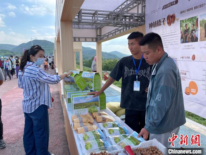 880余名选手齐聚宁夏隆德，见证大地循环杯首届