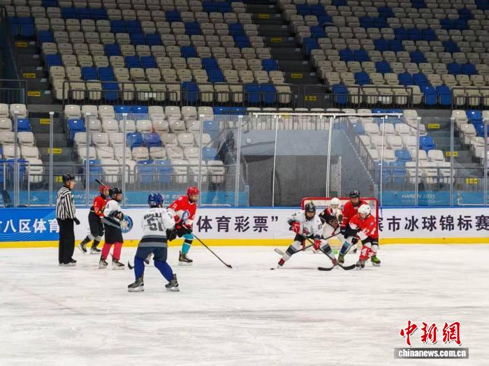 2026哈尔滨冰球锦标赛重启 青少年冰球培养再升级
